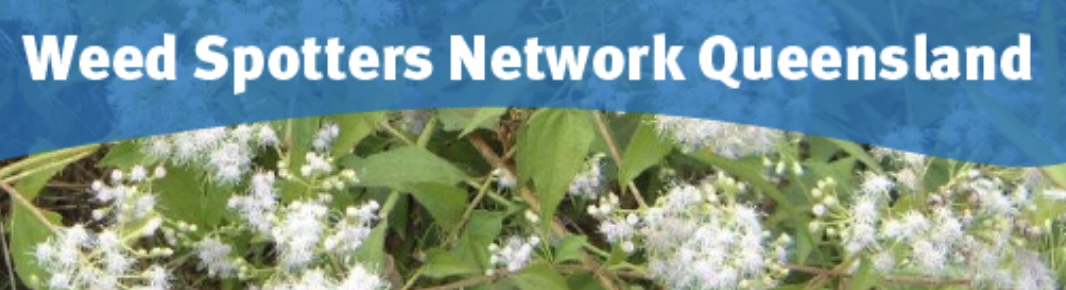 Weed Spotters Network – Mar 25