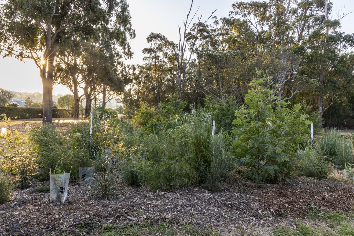 Spring Planting – Stage Two