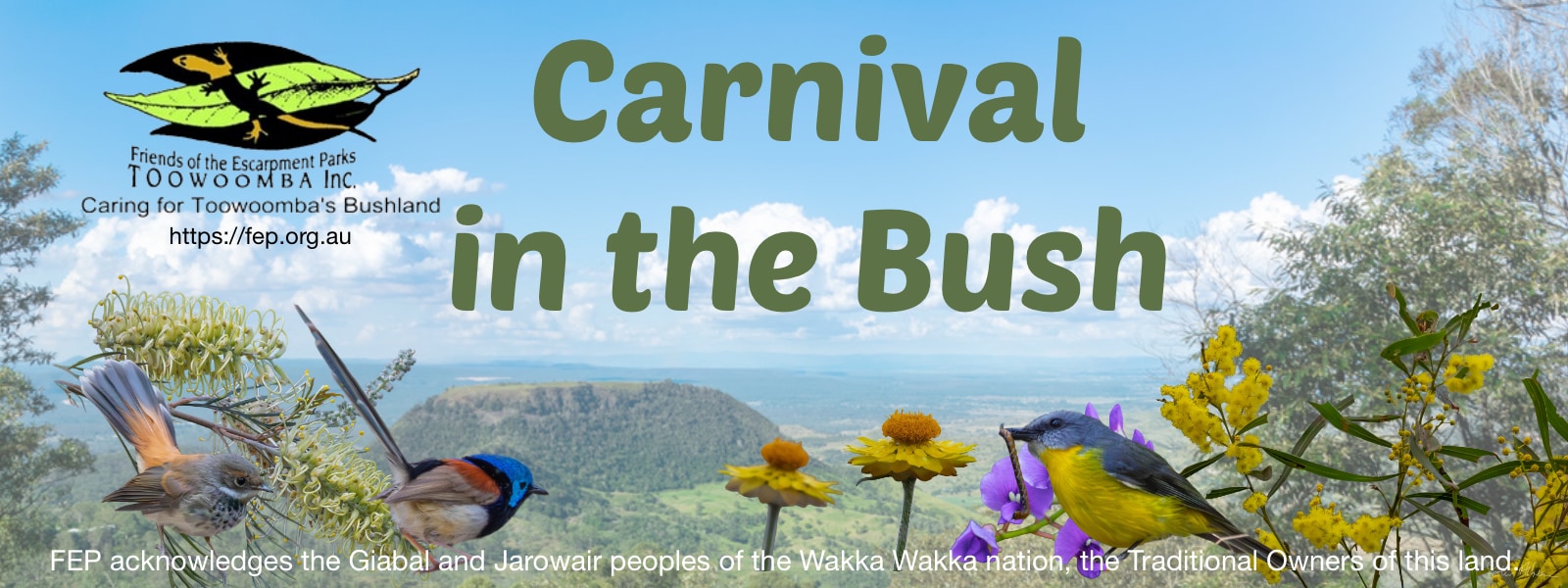 Carnival in the Bush Carnival in the Bush