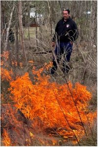 Using Clever Fire to restore landscapes Using Clever Fire to restore landscapes