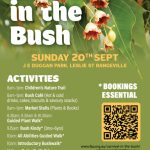 Carnival in the Bush: A great success