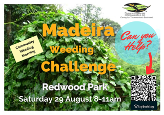 Redwood Madeira Challenge – Spring